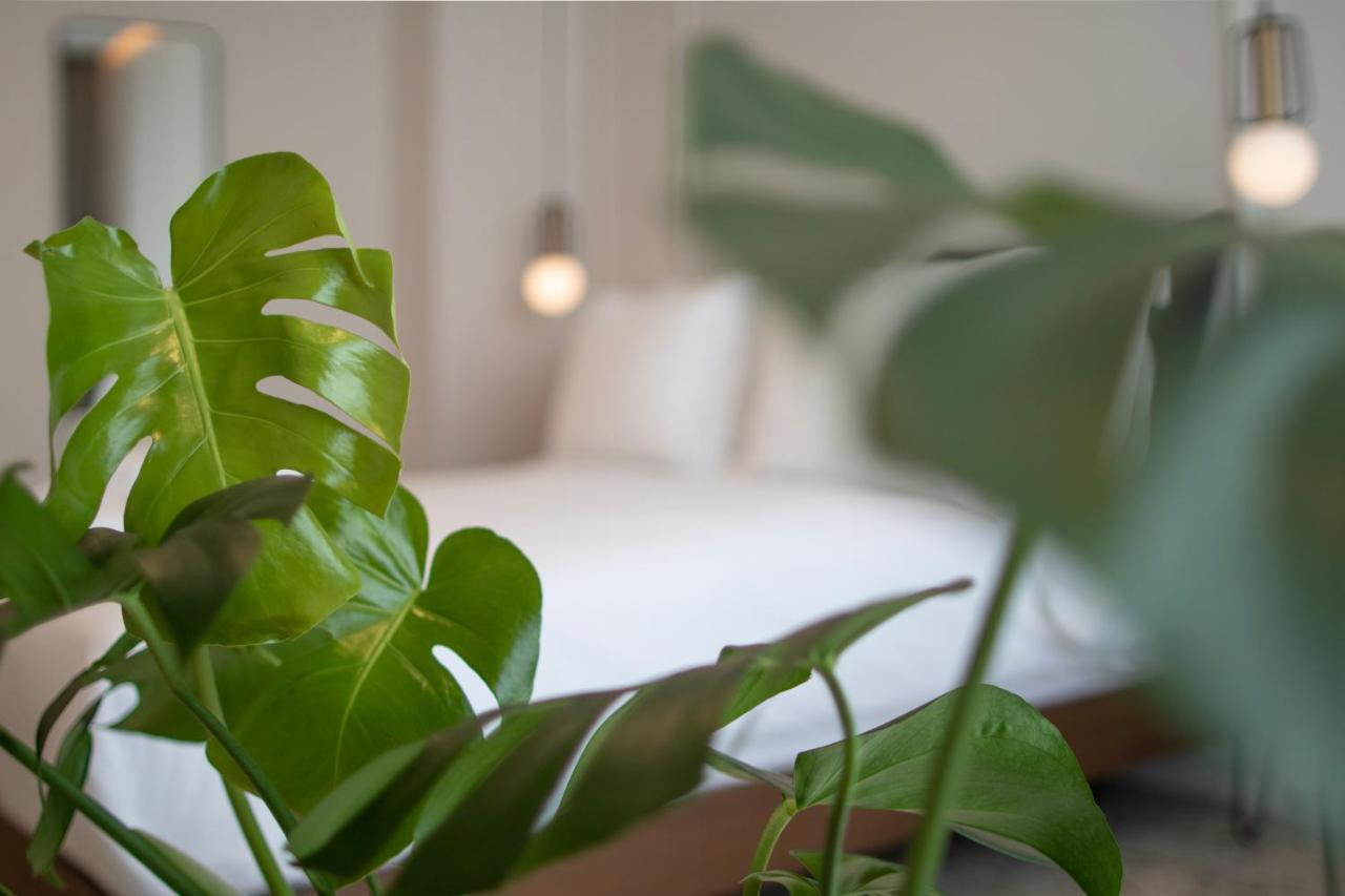 Mythodea Athens Suites Экстерьер фото